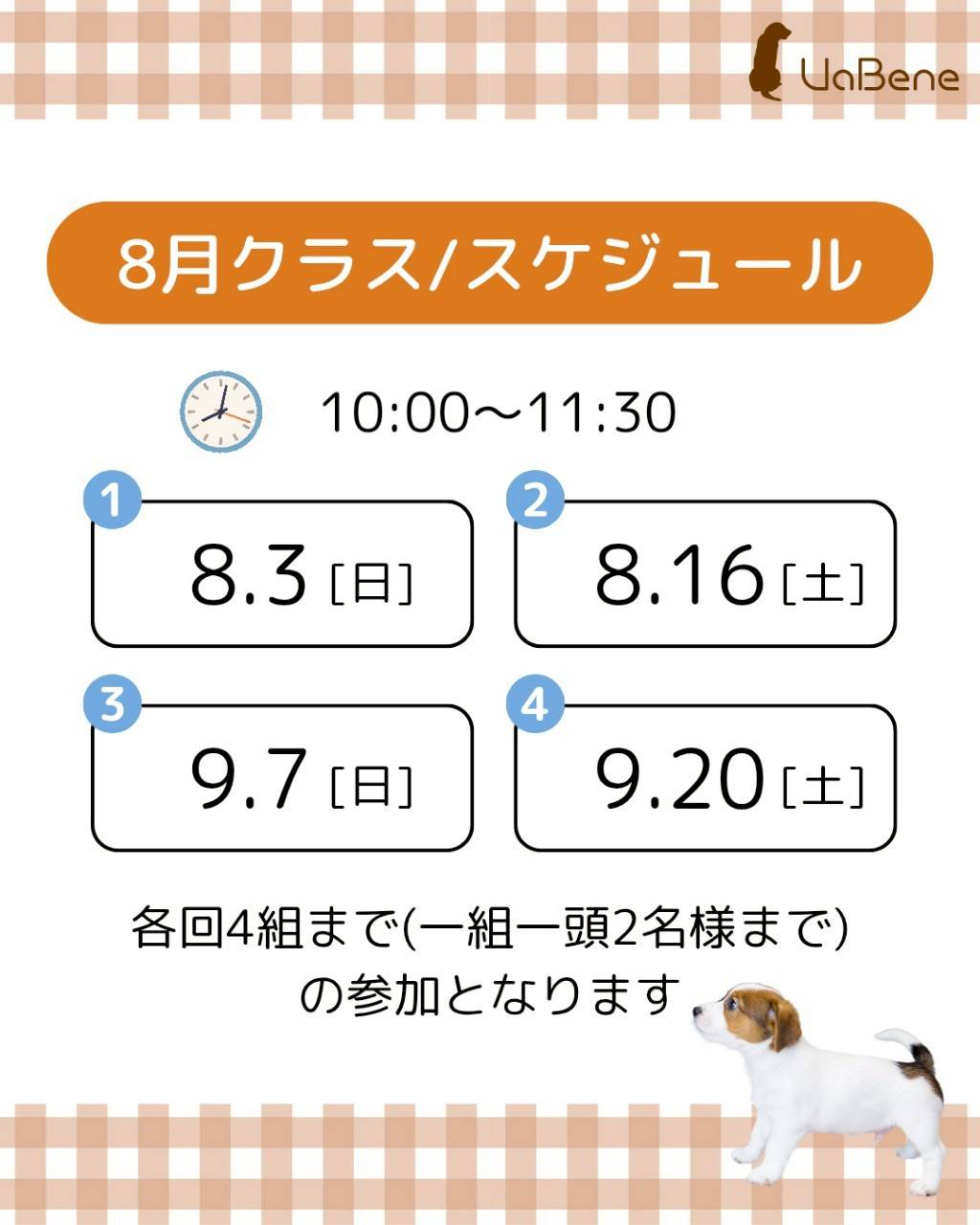 パピークラス