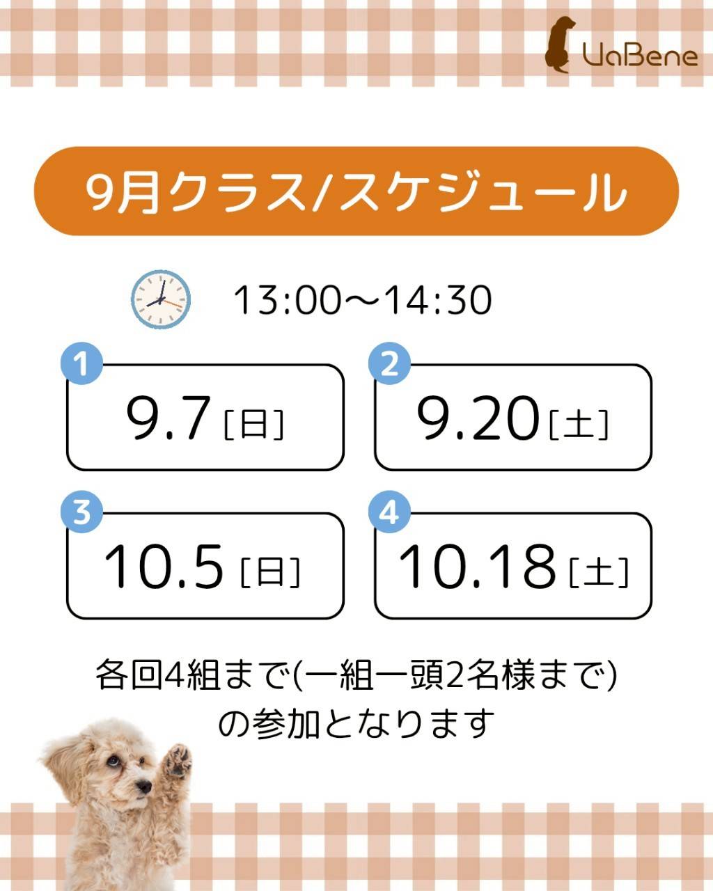 パピークラス