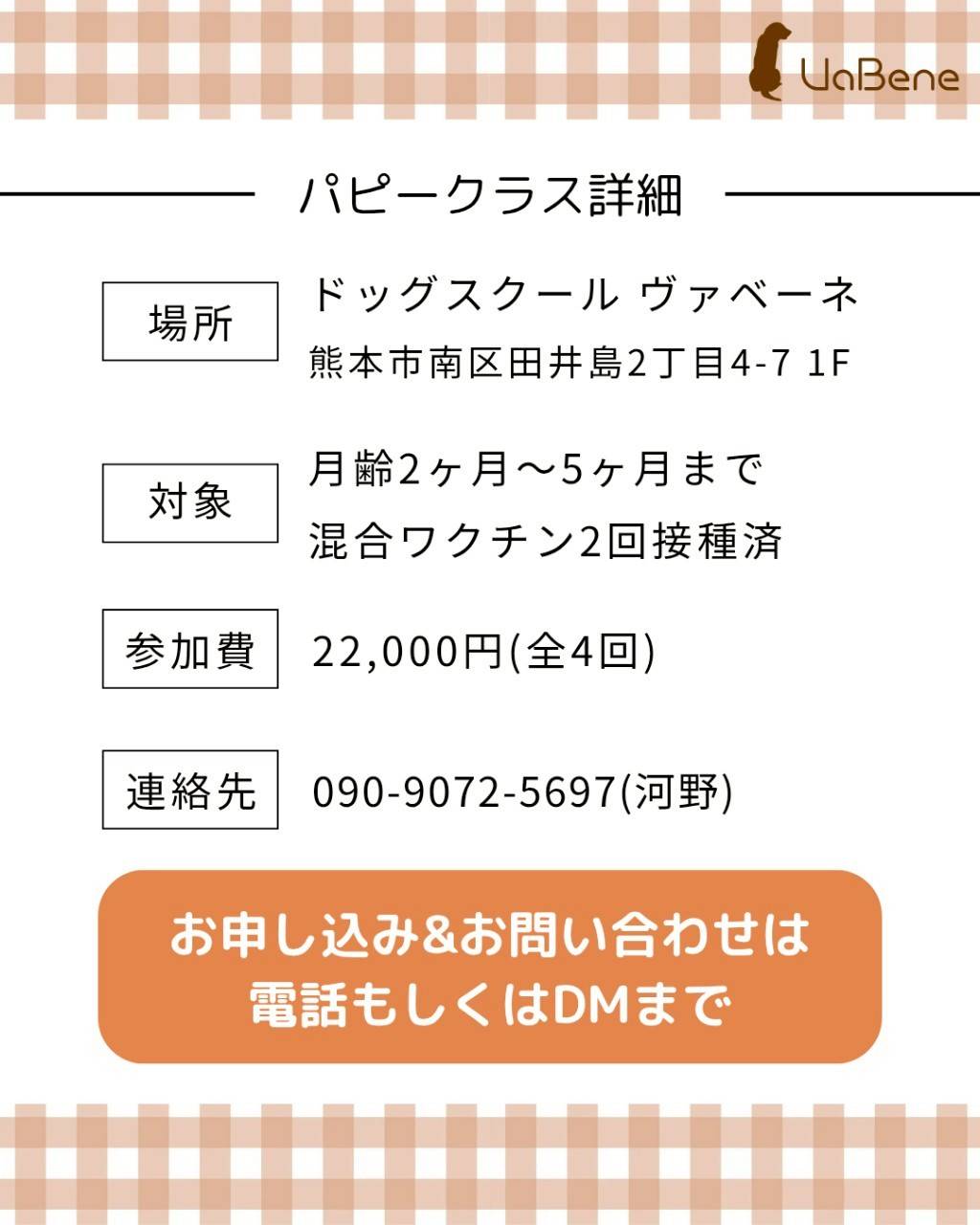 パピークラス
